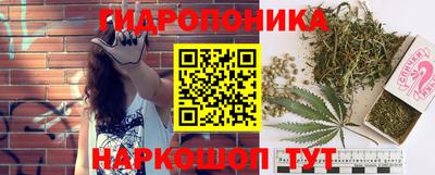 трава Северобайкальск