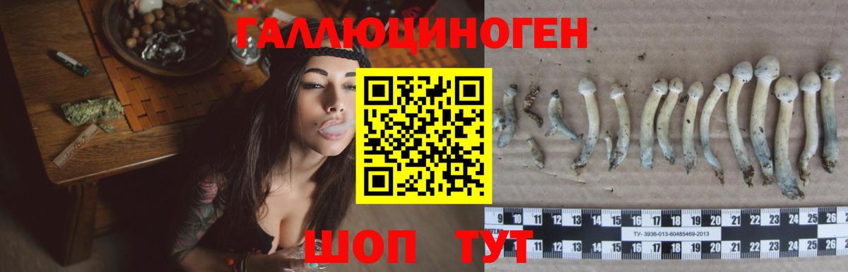 Асино  Псилоцибиновые грибы MAGIC MUSHROOMS  Вход с VPN 