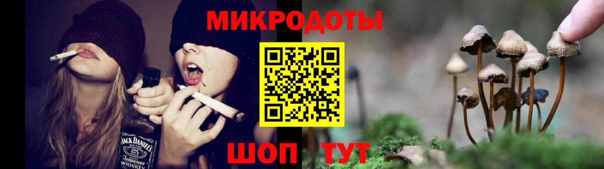 Псилоцибиновые грибы Psilocybine cubensis Асино